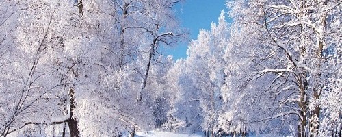 Eesti Energia käivitas külmade ilmade tõttu kõik soojuselektrijaamad