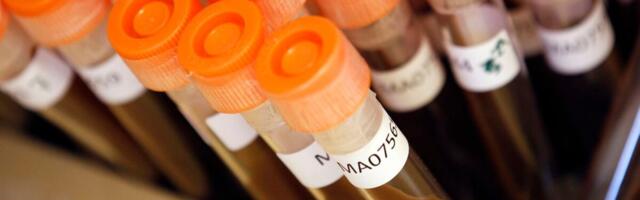 Uuring: 2019. aastal suri ravimiresistentsetesse infektsioonidesse üle 1,2 miljoni inimese