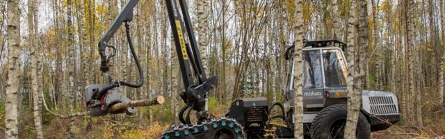 Keskkonnaamet peatab raied Natura alal asuvates metsaelupaikades