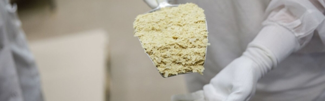 Salutaguse pärmitehas kergitas käivet