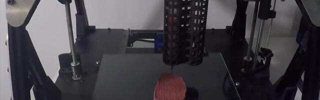 Reporter: Kuidas maitseb 3D prinditud vegesteik?