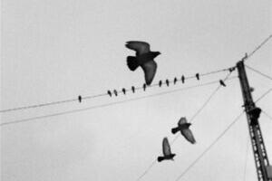 Odav vool tuleviku taskust