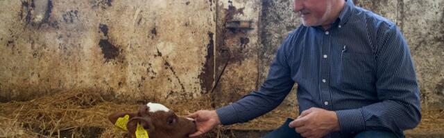 Rahvaloendus: kus vanemaealised kõige rohkem töötavad?