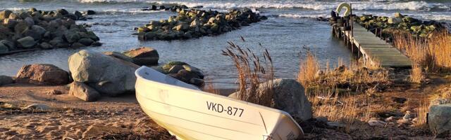 KOMMENTAARIDETA: Pringi rand 11. detsembril 2024