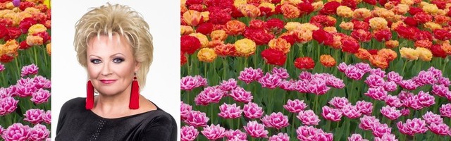 Reporter: Palju õnne Anne Veski! Mida lauludiiva endale sünnipäevaks soovib?