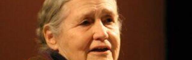 Liberaalse idealismi loojang, kumamas tahavaatepeeglis