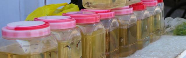 Kehra Coopi ees müüdi akvaariumikalu ebasobivates tingimustes.