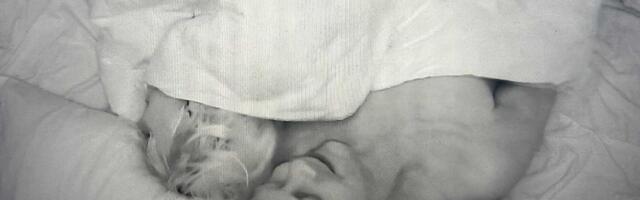 „Ma ei oleks uskunud, et esimene päev nii läheb...“ Tõsielusaate „Armastuse malev“ uue hooaja avaosas lõbutseb üks paar juba linade vahel