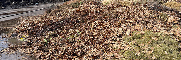 PILDID: Võrus põles lehehunnik