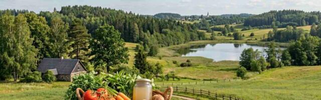 Tagasi päris toidu ja vaimse väe juurde: Miks purgivitamiinid ei asenda hinge ja keha liitu?