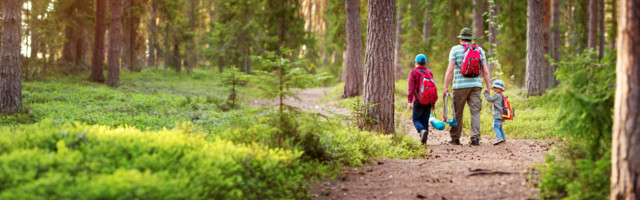 Raimo Ülavere: 9 sündmust ja trendi, mis hakkavad sel aastal juhtuma