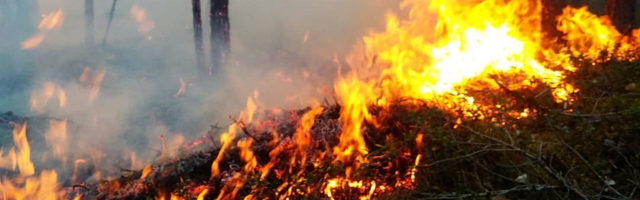 Vaata kaarti: Kloogal põleb sada hektarit metsa