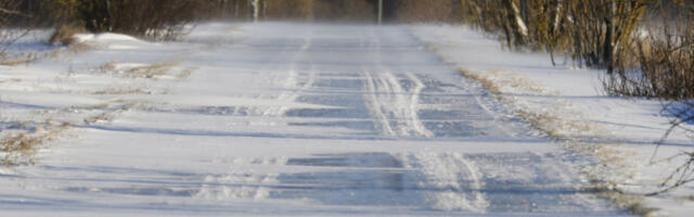 Transpordiamet: teedel on libedust