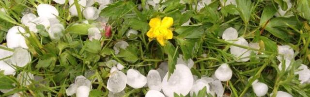 ILMAPROGNOOS | Hoiatus! Üle Eesti liiguvad äikesepilved, oodata on ka rahet