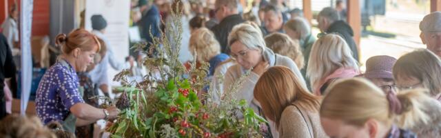 Haapsalu Gurmeeturg katab sel aastal laua metsikute maitsetega