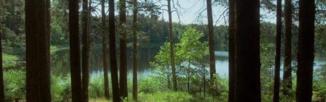 Viljandimaa üritused teisipäeval, 30. jaanuaril