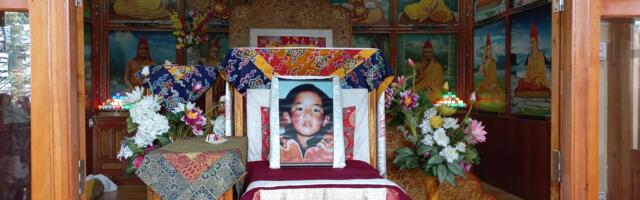 POSTIMEES DHARAMSALAS ⟩ Tiibetlased tähistasid pantšen-laama 35. sünnipäeva, aga nad ei tea, kas ta on elus