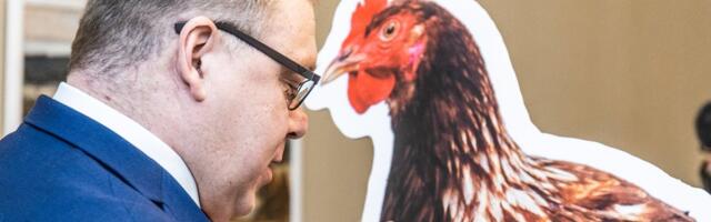 Soraineni advokaat Triin Toom_ loomad ei ole asjad, et neist pooled kohe pärast sündi hukata