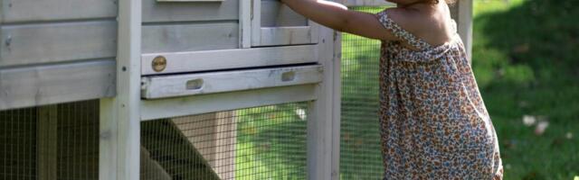 “Vahel on võti alasti aususes”. Tipud räägivad, kuidas kinnisvaraga ühismeedias laineid lüüa