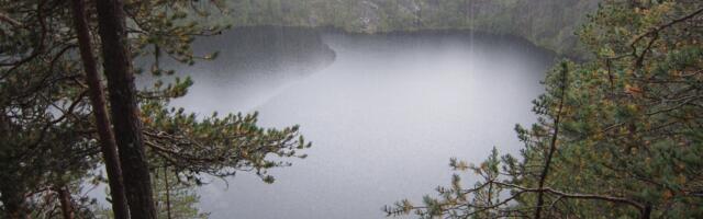 Metsaüksiklased ehk Üksindusest väljapääs on väljapääs loodusesse