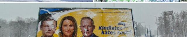 RUSLAN DONTSOVI GALERII: Riigikogu valimiskampaania Viimsi teedel ja tänavatel