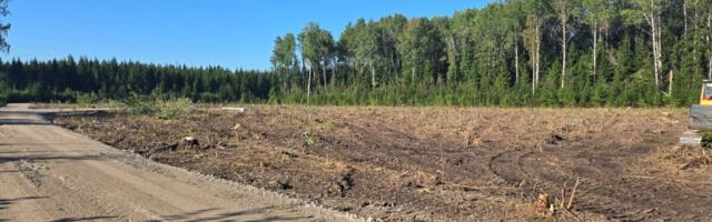 Viljandimaal algas põllumajandusloomade matmispaika ümbritseva aia ehitus