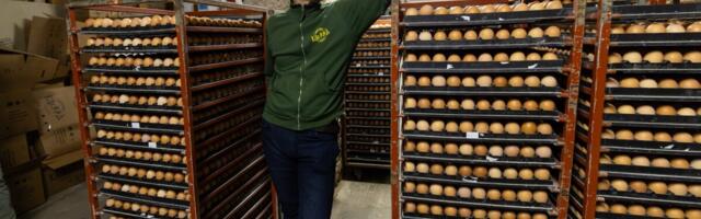 Parima mahetootja tiitel rändas Äntu Mõisa