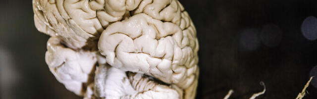 Raske minevik jätab Ida-Euroopa eakad mälutestides halvemasse seisu