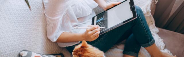 Kõrvaläri Harjumaal: kuidas teenida lisatulu enda tingimustel