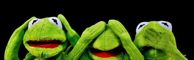 Lemmikloomade elust IV