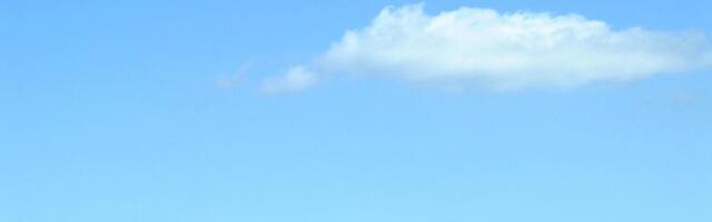 Sinikeele tõbi võib olla jõudnud Leetu