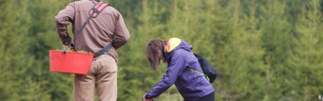 Algas vastutustundliku metsanduse edendamise ja metsaühistu toetuste taotlemine