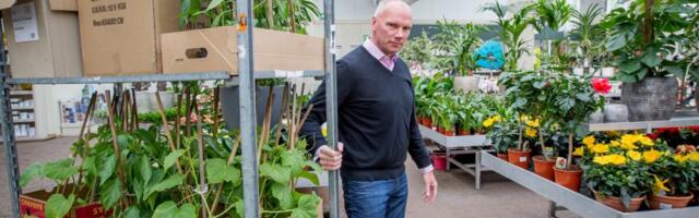 Hansaplant jõudis kahjumist kasumisse