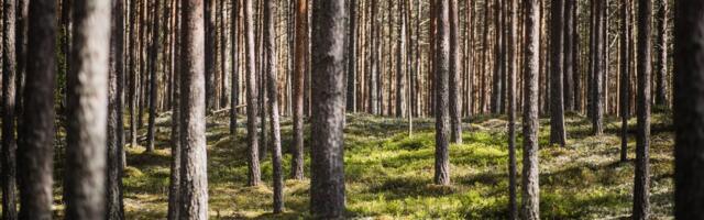 Nüüd leiti süüdlane! Tarmo Tüür: looduskaitsealad on tõesti hakanud „piirama“ ja „peale tungima“?