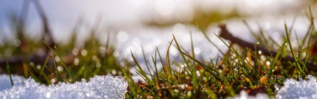 Märtsikuu esimene nädal paneb selle tähemärgi esindaja proovile, ent see on vaid ajutine