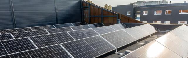 Haiglad püüavad päikesepaneelidega päikest