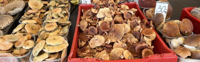 HINNAVÕRDLUS | Seenemüügi kõrgaeg: ühelt turult saab riisikaid eriti magusa hinnaga