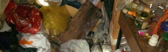Päästjad said neli väljakutset Tartumaalt