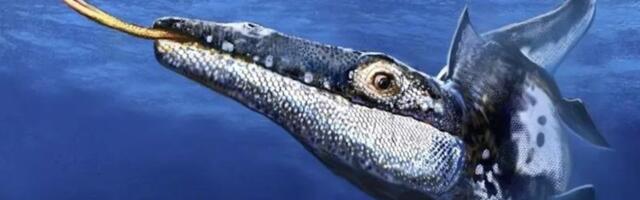 Avastati seni teadlastele tundmatu kiskja, kes valitses meresid 90 miljonit aastat tagasi