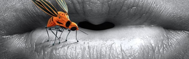 Sääsed, puugid... suvi on vampiiride kõrghooaeg