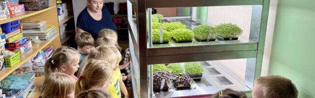 NUTIKASVUHOONE | Kärdla lasteaias sirguvad rohenäpud