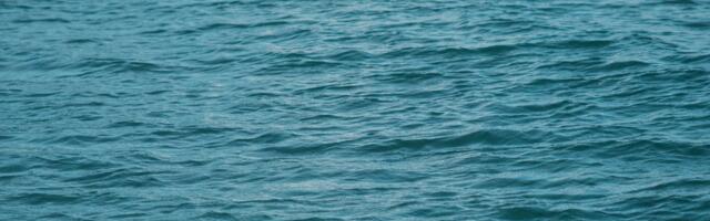 Koosa, Alajõe, Metsakivi ja Kolkja supluskohtades saab taas ujuda!