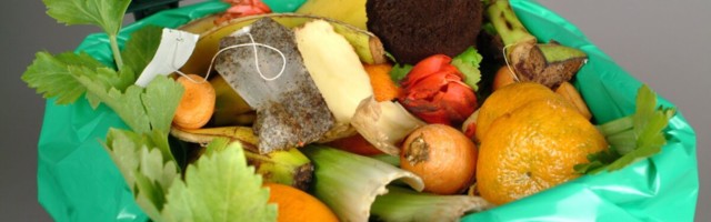 Uuring: 38% Eesti inimestest viskab iga nädal toitu ära