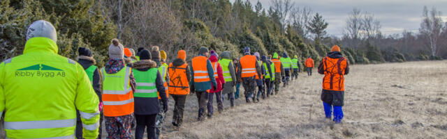 Ringkonnakohus tühistas hundijahi peatamise kohtumenetluse ajaks