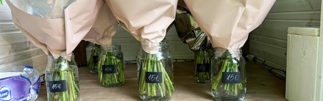 PILDID: Võrumaal avatud iseteenindus lillekiosk