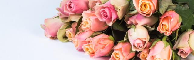 Elva vald tähistas 8. sünnipäeva ja tunnustas silmapaistvaid tegijaid