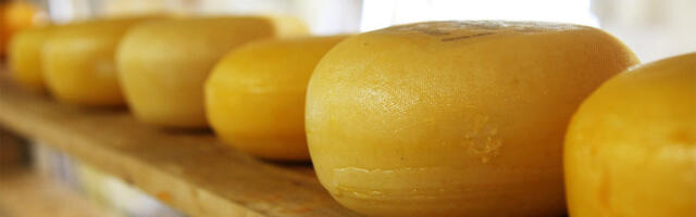 Hiina kehtestas Euroopa piimatoodetele tollimaksu