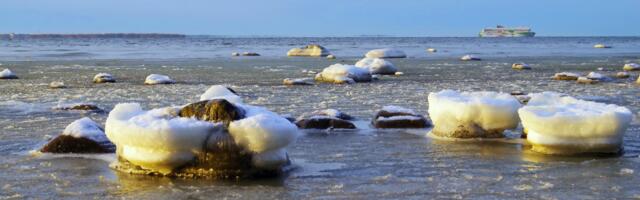 Jaanus Volmre NÄDALA FOTO