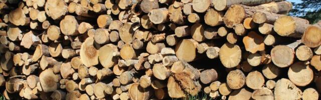 Puiduturul veab hinnatõusu küttepuit