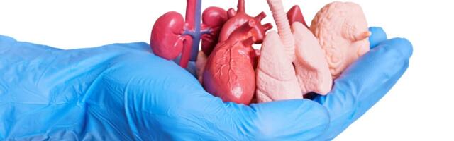 Organite annetamiseks operatsioonile viidu lahkus nädalad hiljem haiglast elusana